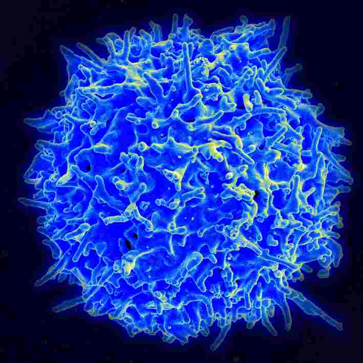 磁性奈米顆粒,能有效促進免疫療法?